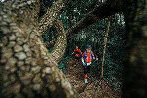 BIB: 
                            <button type="button" onclick="openModal(25704936)" class="btn btn-primary btn-sm float-right btn-popup" data-toggle="modal" data-target=".modal-high-quality">
                        <i class="fas fa-shopping-cart"></i> Add to Cart
                    </button>
                                            <button type="button" onclick="isThisMe(25704936, true)" class="btn btn-success btn-sm float-right btn-popup btn-isme hidden" data-toggle="tooltip" data-placement="bottom" title="นี่คือรูปของคุณใช่ไหม คลิกที่นี่เพื่อเอาเข้าอัลบั้ม">
                        <i class="fas fa-plus"></i> Add to album
                    </button>
                    <button type="button" onclick="isThisMe(25704936, false)" class="btn btn-warning btn-sm float-right btn-popup btn-isnotme hidden">
                        <i class="fas fa-ban"></i> Remove from album
                    </button>